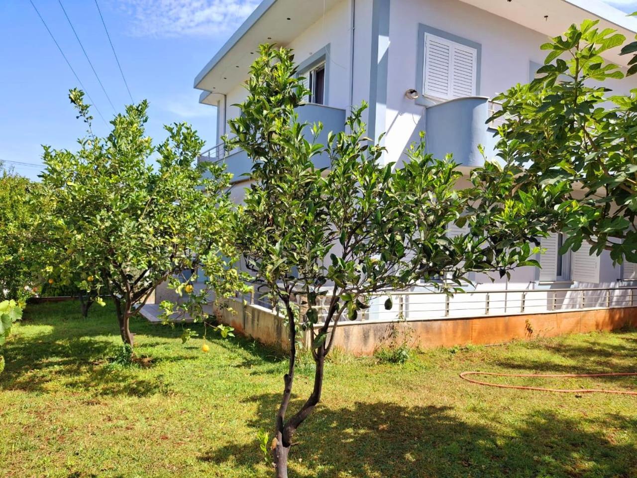Myksamil Apartments Zimmer foto