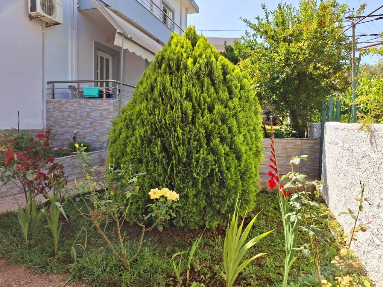 Myksamil Apartments Exterior foto